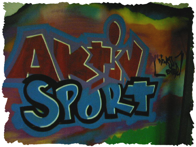 Aktiv Sport